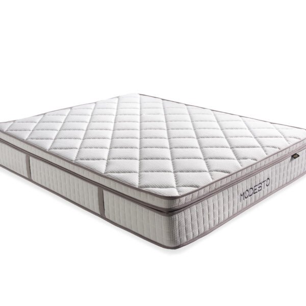 MODESTO BONEL + TOPPER