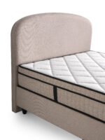 AYLIS - Afbeelding 6